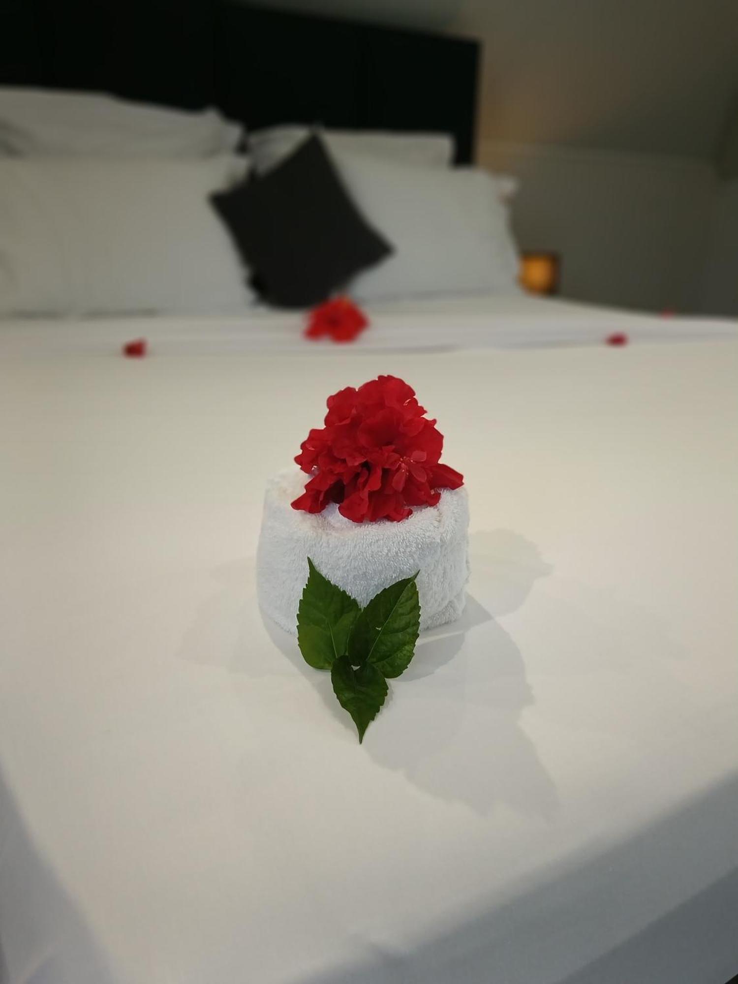 Hotel Village Pomme Cannelle 3 Etoiles Le Precheur Dış mekan fotoğraf