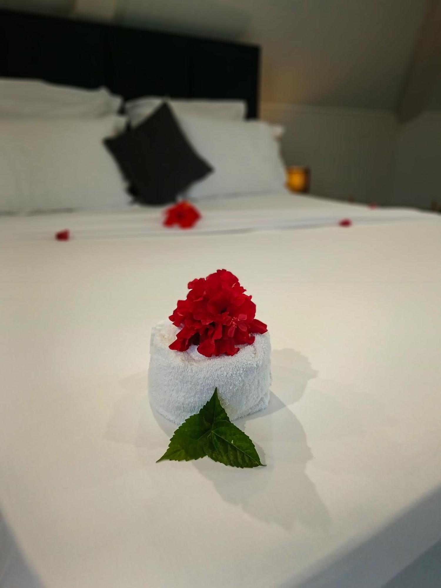 Hotel Village Pomme Cannelle 3 Etoiles Le Precheur Dış mekan fotoğraf